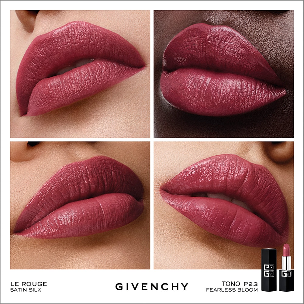 LE ROUGE SATIN SILK (LABIAL DE ALTA DEFINICI&Oacute;N)